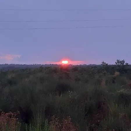 Daire In Near Sandy Beaches Privlaka (Zadar)