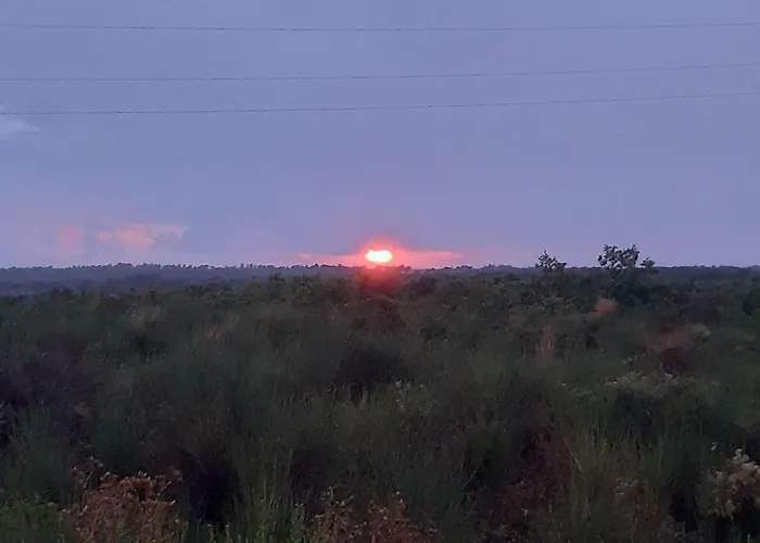 Daire In Near Sandy Beaches Privlaka (Zadar)